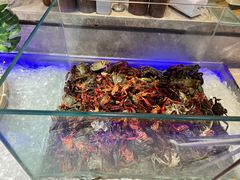-悦橙烤肉海鲜自助(中央大街店)