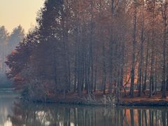 -上海海湾国家森林公园