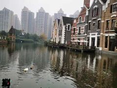 -成都南湖公园