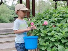 -泰州凤城河风景区-泰山公园