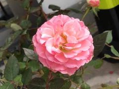 -宴昆山·私房菜(春晖店)