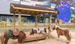 -萌宠亲子动物乐园(槐房万达店)