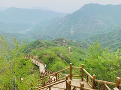 -大岭沟猕猴桃谷风景区