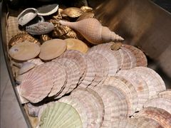 -Oyster Talks 四度蚝法餐厅