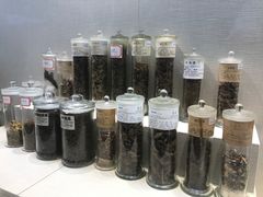 -广东中医药博物馆