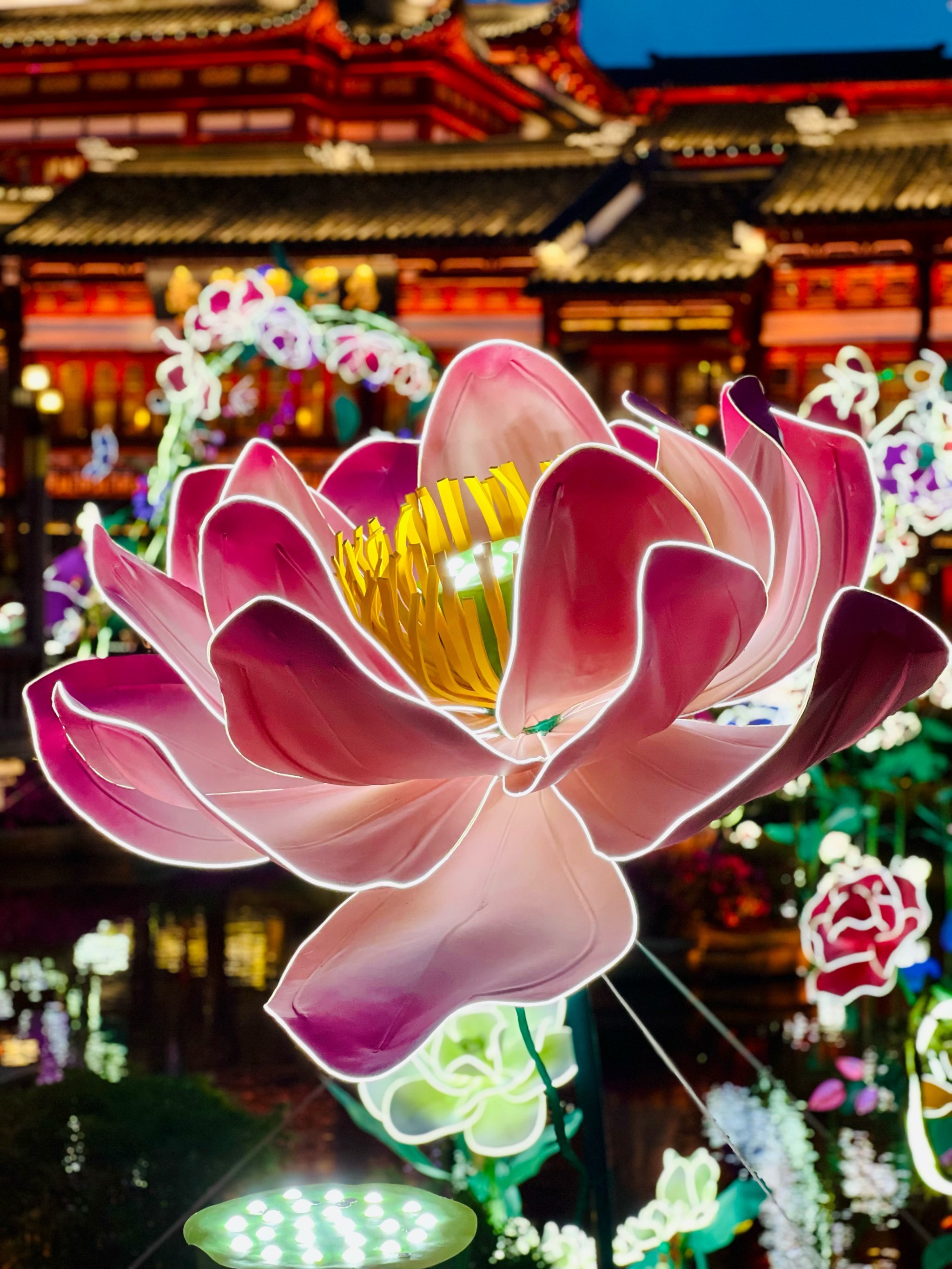小红书看到花朝节晚上有灯就来看一下.反正