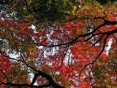 -青岛崂山太清宫