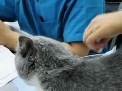 -北京恒爱动物医院(清景园分院)