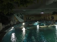 -苏州海洋馆