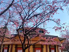 -昆明动物园