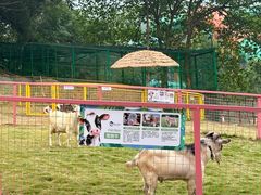 -杭州开元森泊度假乐园