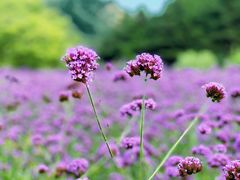 -云峰山自然风景区