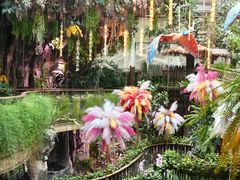-正佳雨林生态植物园