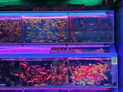 -西宁市人民公园(城西区)