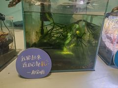 -中国湿地博物馆