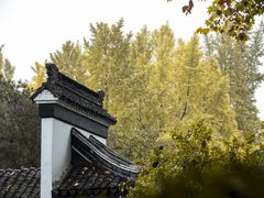 -红梅公园