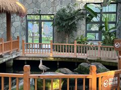 -南宫五洲植物乐园