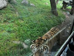 -西安秦岭野生动物园