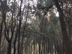 -千佛山风景名胜区