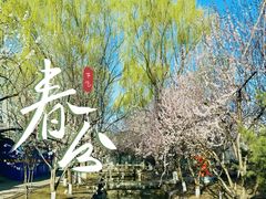 -春风习习