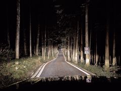 -重庆睡佛山森林公园