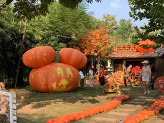 -HERRE·FARM 赫尔露营农场·团建聚会包场