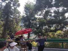 -南岳衡山风景名胜区-南岳大庙