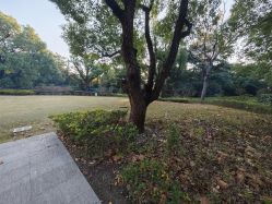 -虹桥迎宾馆·宴会厅