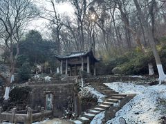 -镇江市南山风景名胜区竹林景区