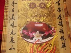 -九花山烤鸭店
