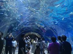 -华夏文旅海洋公园