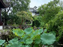 -苏州冶园园林民宿(太湖西山风景区店)