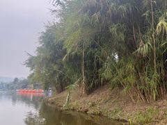 -枫香湖儿童公园