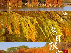 -番禺大夫山森林公园