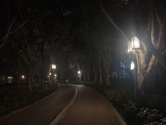 -顺峰山公园