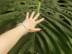 -石家庄市植物园