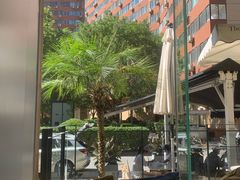-the rug 飞毯 (朝阳公园店)