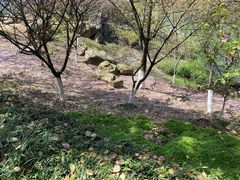 -白马涧龙池景区