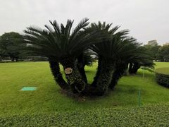 -广州中山纪念堂