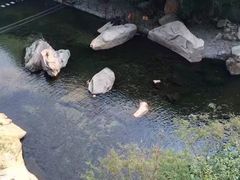 -黑龙潭风景区