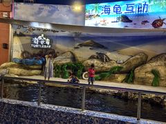 -三亚海昌梦幻海洋不夜城