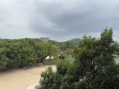 -上海佘山世茂艾美酒店