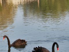 -长春市南湖公园