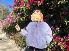 -红螺寺