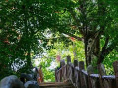 -光雾山旅游景区