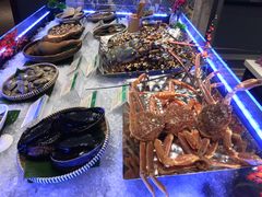 -南海渔村(珠江新城店)