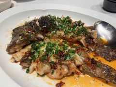 老陈皮蒸老虎斑-荣兴酒家(徐家汇店)