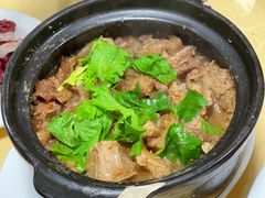 -原野牛肉岛
