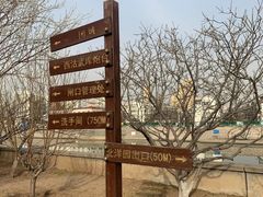 -桃花堤公园