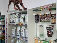 -瑞派申生动物医院·24H夜诊·国际动物医疗中心·骨外科(吴中路店)